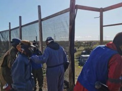paint-ball-1