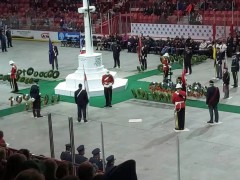 remembrance-day-7