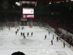 hocky-2019-7